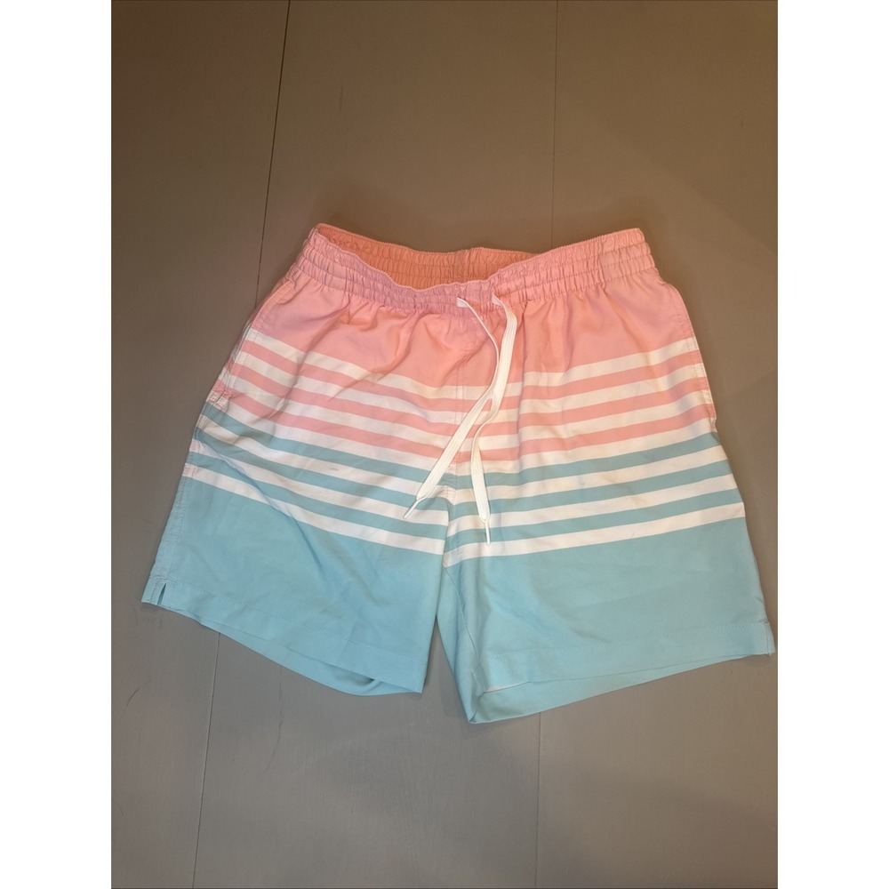 Chubbies Shorts Men's Small‎ Swim Trunks Striped Print Beach 5.5" Inseam Lined
